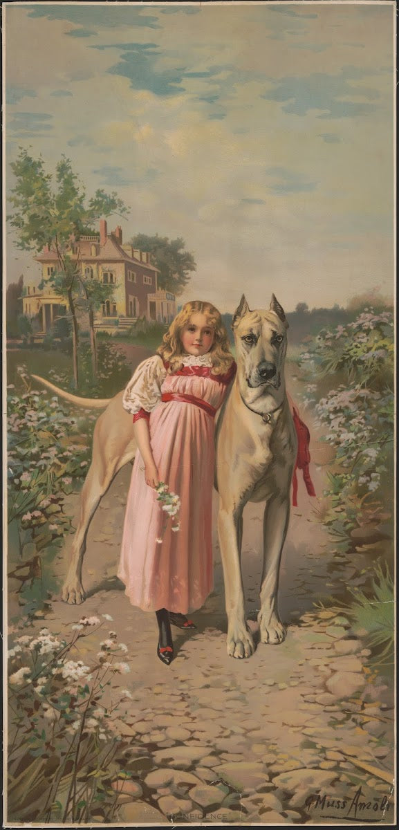 Confidence 1898
