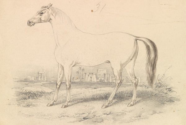 The Dongola Horse 1837